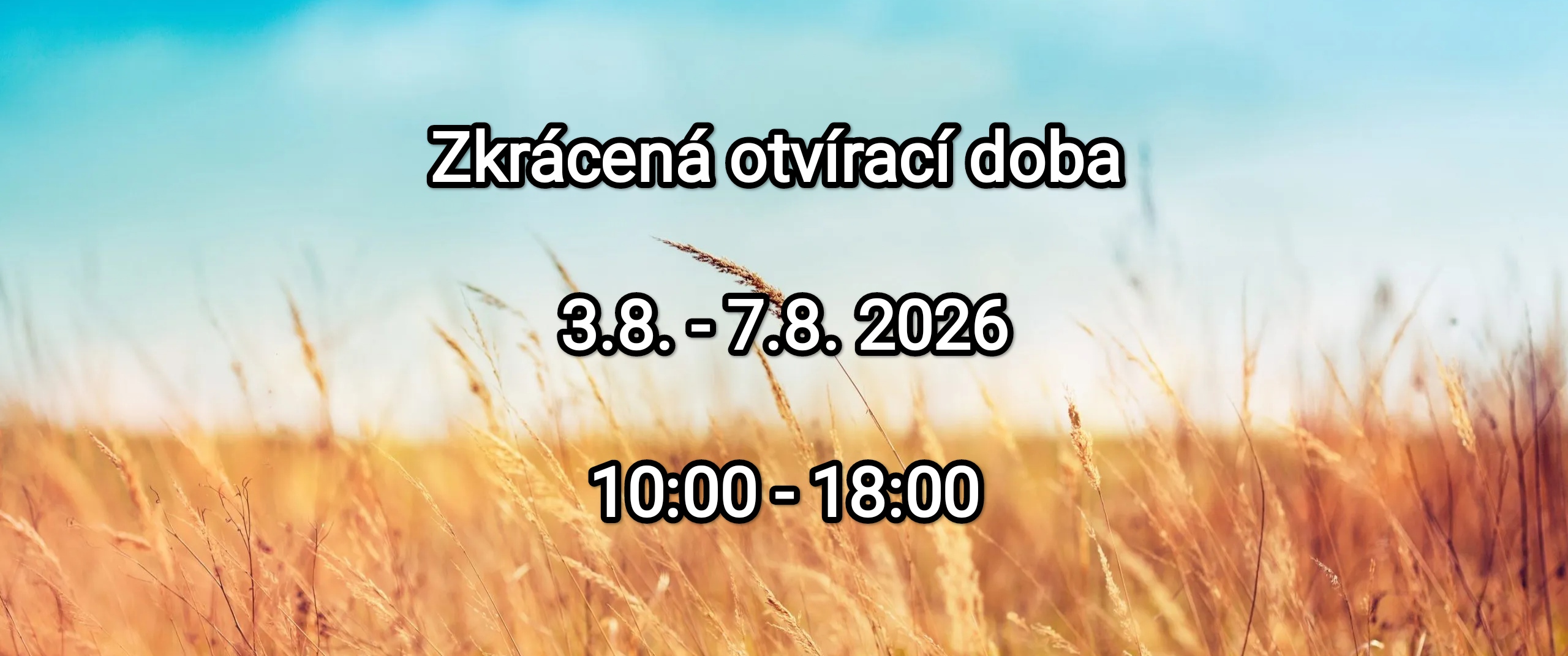 Banner svátek